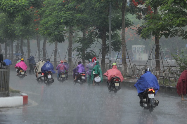 Người dân Hà Nội đón mưa vàng giải nhiệt lúc sáng sớm - Ảnh 3.