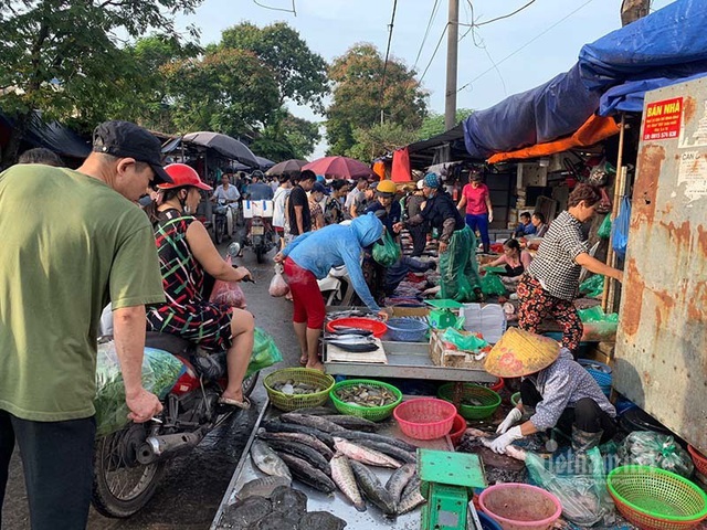 Đi 5km quả nho đắt gấp 4, từ chuồng ra chợ gà tăng giá 3 lần - Ảnh 1.