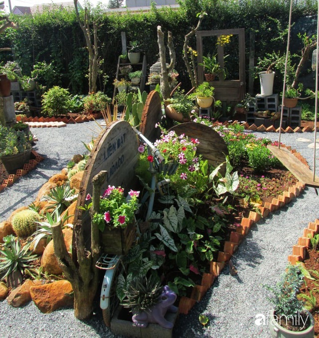 Chỉ tốn hơn 1 triệu đồng, mẹ trẻ biến hình mảnh đất nhỏ trở thành khu vườn trồng xương rồng, sen đá đẹp mê mẩn ở Đà Lạt - Ảnh 23. Chỉ tốn hơn 1 triệu đồng, mẹ trẻ biến hình mảnh đất nhỏ trở thành khu vườn trồng xương rồng, sen đá đẹp mê mẩn ở Đà Lạt - Ảnh 23.