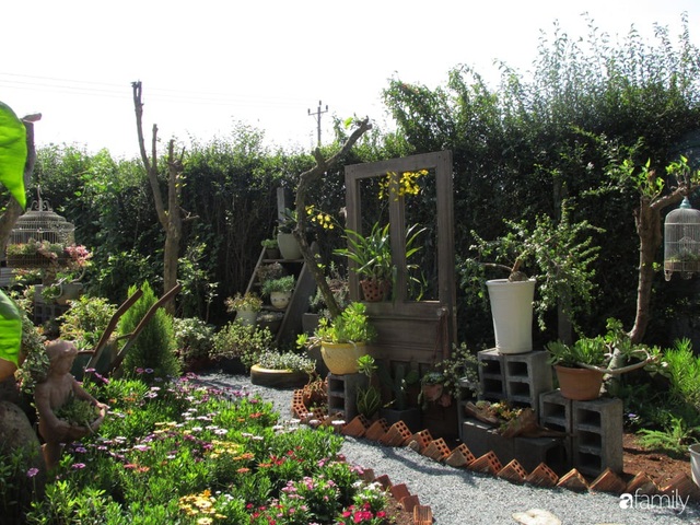 Chỉ tốn hơn 1 triệu đồng, mẹ trẻ biến hình mảnh đất nhỏ trở thành khu vườn trồng xương rồng, sen đá đẹp mê mẩn ở Đà Lạt - Ảnh 26. Chỉ tốn hơn 1 triệu đồng, mẹ trẻ biến hình mảnh đất nhỏ trở thành khu vườn trồng xương rồng, sen đá đẹp mê mẩn ở Đà Lạt - Ảnh 26.