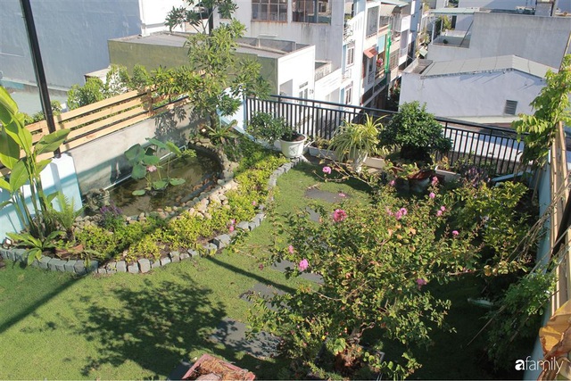 Sân thượng bê tông 40m² biến hình thành khu vườn xanh mát chỉ với 23 triệu đồng ở Đà Nẵng - Ảnh 1.