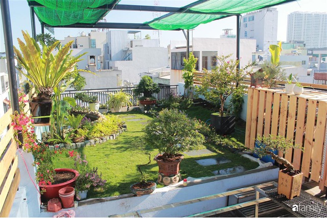 Sân thượng bê tông 40m² biến hình thành khu vườn xanh mát chỉ với 23 triệu đồng ở Đà Nẵng - Ảnh 4.