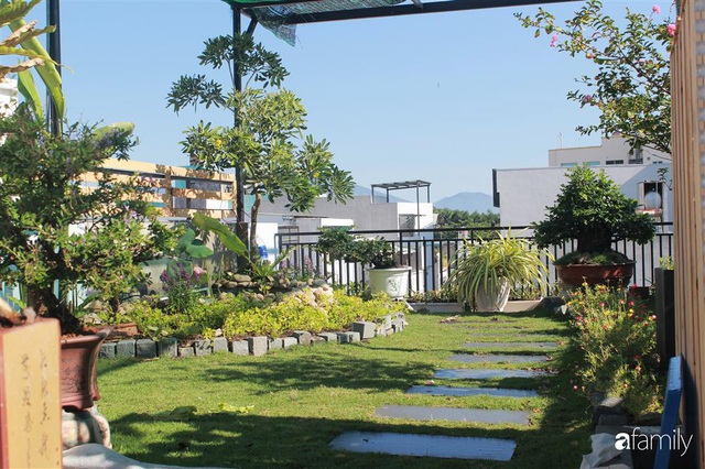 Sân thượng bê tông 40m² biến hình thành khu vườn xanh mát chỉ với 23 triệu đồng ở Đà Nẵng - Ảnh 7.