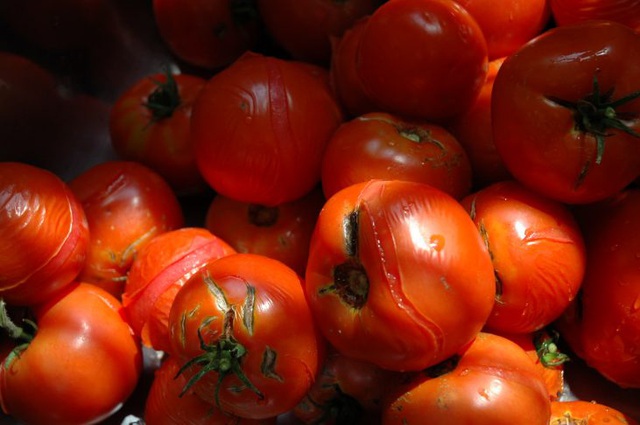 Nhìn vào củ khoai tây, cà chua, hành tây mà thấy có dấu hiệu này thì nên cho vào thùng rác vì ăn sẽ không có dinh dưỡng mà còn dễ bị ngộ độc - Ảnh 4.