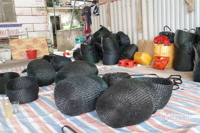 Nông dân 8X ở Ninh Bình thu 20 tỷ đồng/năm từ loại rau cho lợn ăn - Ảnh 4.