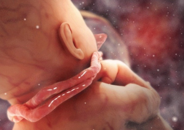 Dấu hiệu thai lưu giúp các mẹ bầu phòng ngừa và kịp thời nhận biết - Ảnh 3.