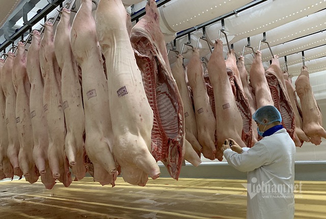 Giá thịt lợn giảm mạnh, bán không lấy lãi lo đẩy hàng sớm - Ảnh 3.