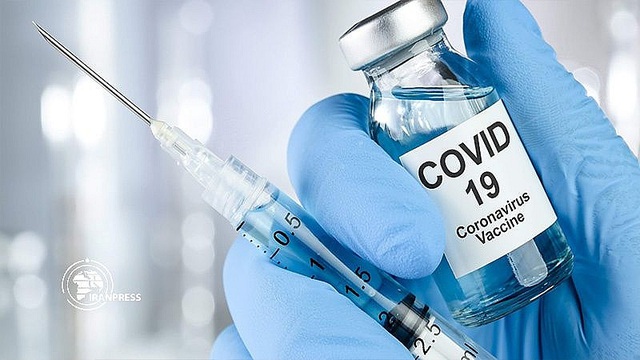 WHO cảnh báo về tốc độ lây lan dịch COVID-19 từ người trong độ tuổi 20 - 40 - Ảnh 4.