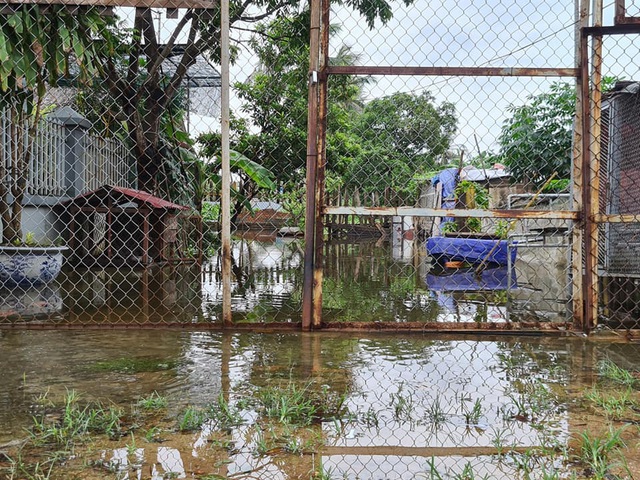 Hàng chục hộ dân ở Hải Phòng khốn khổ vì hễ mưa là ngập lụt - Ảnh 4.
