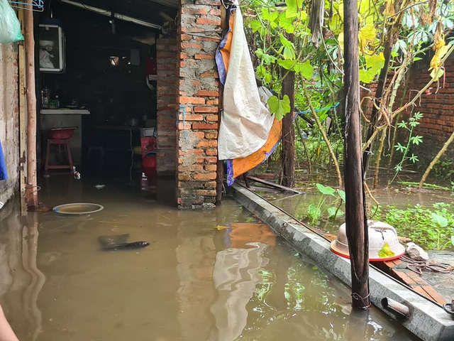 Hàng chục hộ dân ở Hải Phòng khốn khổ vì hễ mưa là ngập lụt - Ảnh 2.