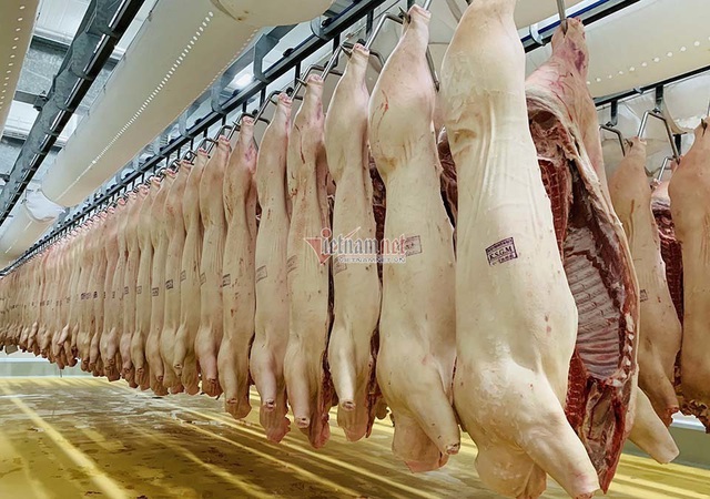 100 nghìn con lợn Thái Lan đổ về, giá thịt trong nước giảm mạnh - Ảnh 3.