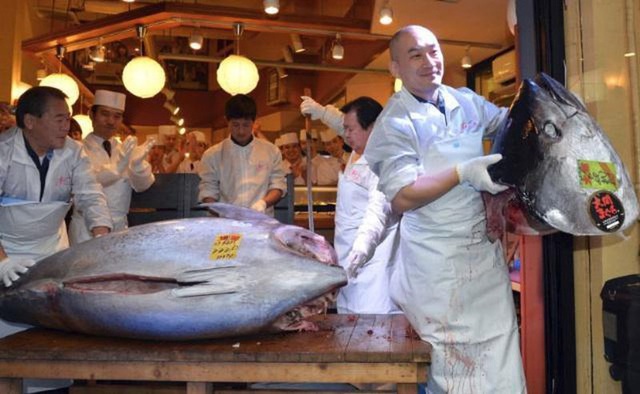 Sự thật tàn khốc đằng sau miếng sushi cá ngừ, biết rồi nhiều người sẽ phải đắn đo trước khi ăn - Ảnh 5.