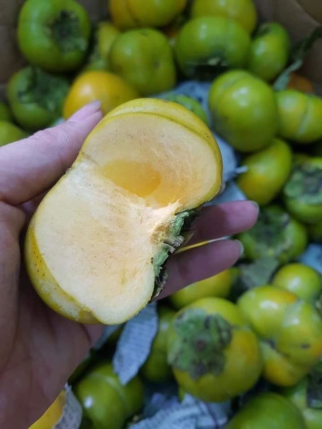 Bất ngờ loại hồng mới: Chẳng cần ng&acirc;m vẫn kh&ocirc;ng ch&aacute;t, bao ngọt gi&ograve;n - Ảnh 5.