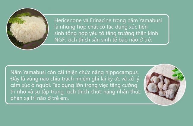 Cốm trí não Trạng Nguyên: Con thông minh, học giỏi nhờ dinh dưỡng chuẩn - Ảnh 2.