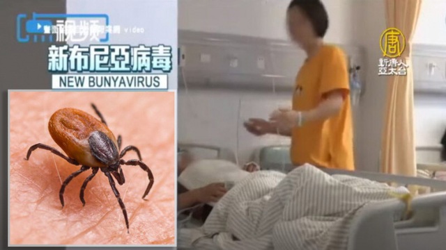 Virus Bunya bùng phát ở Trung Quốc: Đã xuất hiện từ 10 năm trước, gây chết người, lây bệnh qua máu và vết thương hở - Ảnh 1.