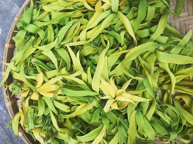 Hoa hoàng lan đắt giá, 1,5 triệu/kg vẫn được lùng mua - Ảnh 2. Hoa hoàng lan đắt giá, 1,5 triệu/kg vẫn được lùng mua - Ảnh 2.