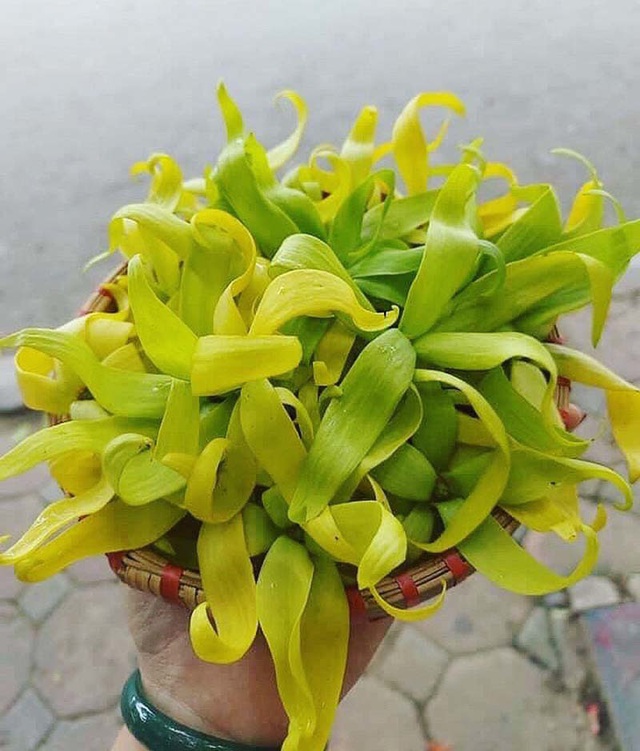 Hoa hoàng lan đắt giá, 1,5 triệu/kg vẫn được lùng mua - Ảnh 3.
