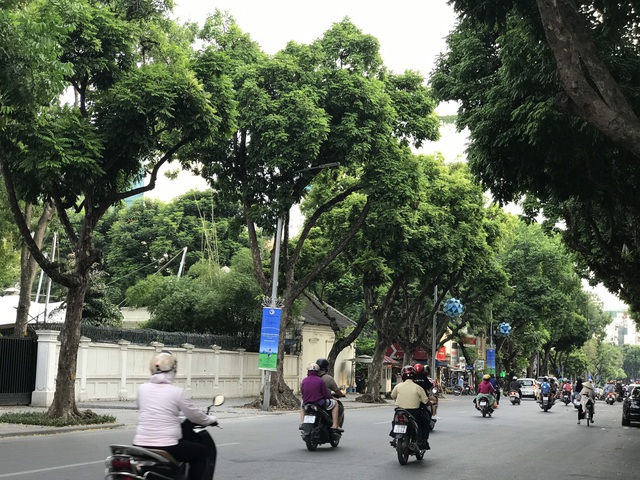 Đẹp nao lòng khoảnh khắc phố phường Hà Nội vào thu - Ảnh 9.