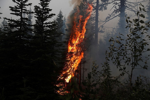 Khung cảnh như tận thế vì cháy rừng ở Bờ Tây nước Mỹ - Ảnh 1.