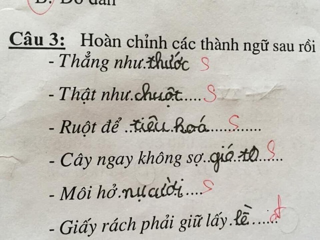 Bài tập tiếng Việt đơn giản nhưng cô bé lại đưa ra đáp án bất ngờ khiến dân tình cười ngả nghiêng: Trẻ con đúng là không biết nói dối! - Ảnh 3.