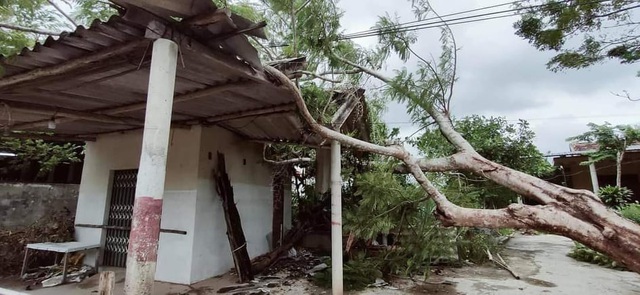 Hai phụ nữ ở Quảng Bình bị thương trong cơn bão số 5 - Ảnh 1.