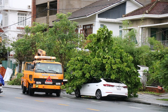 Ảnh: Hàng chục cây xanh bị quật ngã do gió lớn tại Thừa Thiên – Huế - Ảnh 5.