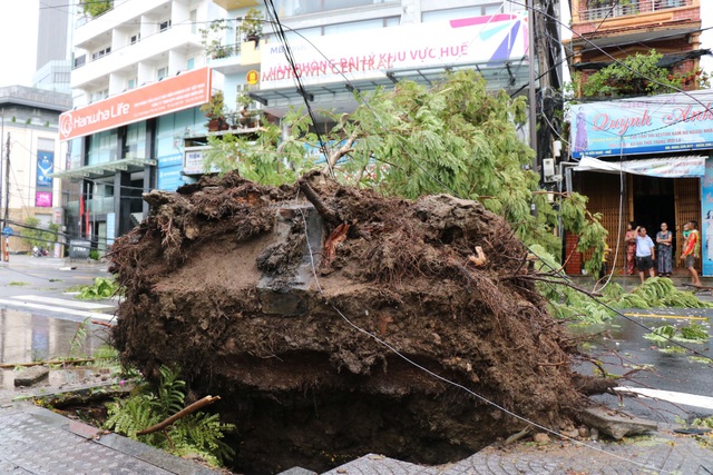 Ảnh: Hàng chục cây xanh bị quật ngã do gió lớn tại Thừa Thiên – Huế - Ảnh 8.