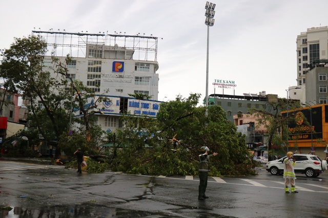 Ảnh: Hàng chục cây xanh bị quật ngã do gió lớn tại Thừa Thiên – Huế - Ảnh 9.