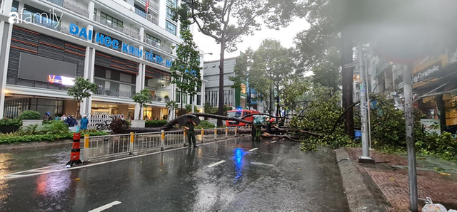 TP.HCM: Cây xanh bất ngờ bật gốc đổ ngang đường trong mưa to gió lớn, đè trúng 1 người đi xe máy - Ảnh 2.