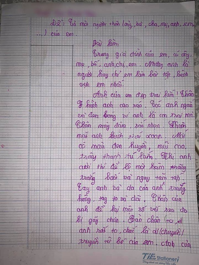 Bé gái cấp 1 làm văn tả anh trai, cả bài đang cảm động riêng đến phần về trí thông minh, anh trai phải phì cười - Ảnh 2.