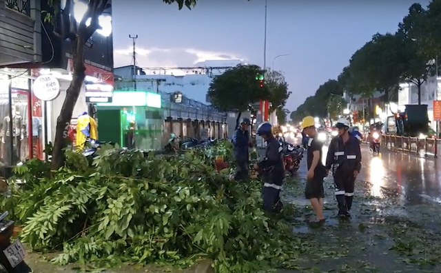 TP.HCM: Cây xanh gãy nhánh, đè trúng cô gái bị thương, bạn trai hoảng loạn kêu cứu - Ảnh 3.