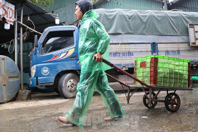 Tay trần bê đá lạnh, bắt cá tươi trong cái rét thấu xương Hà Nội - Ảnh 13.