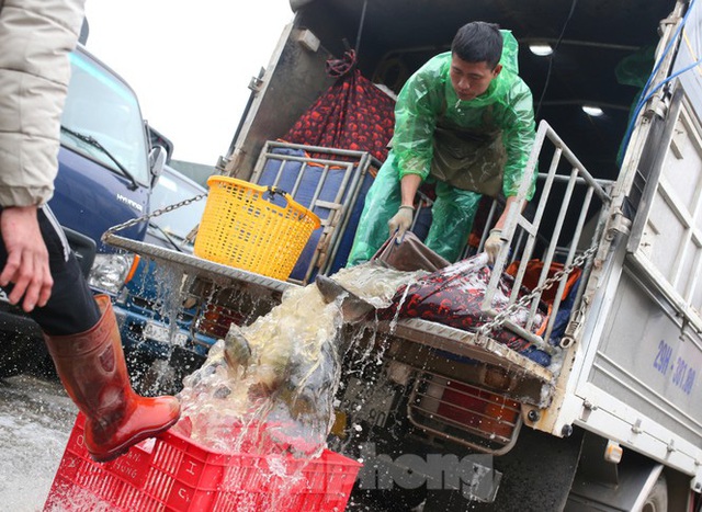 Tay trần bê đá lạnh, bắt cá tươi trong cái rét thấu xương Hà Nội - Ảnh 4.