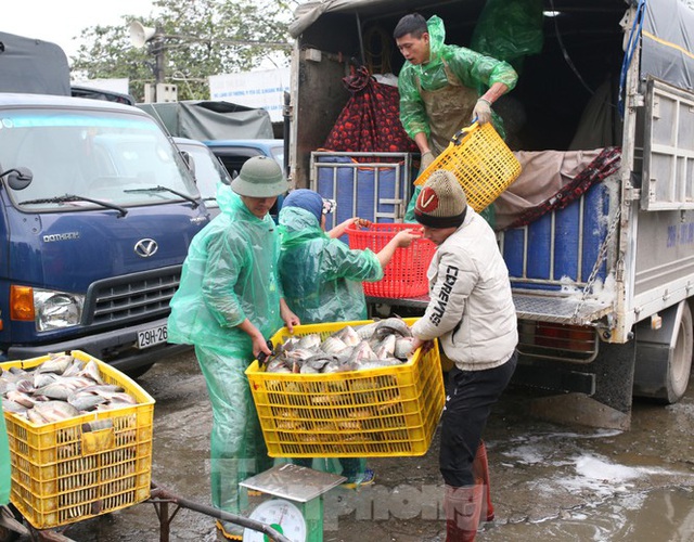 Tay trần bê đá lạnh, bắt cá tươi trong cái rét thấu xương Hà Nội - Ảnh 10.