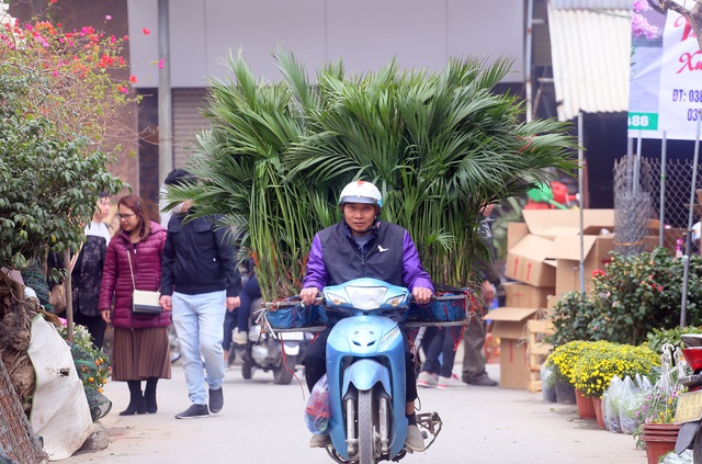 Hà Nội: Người dân nườm nượp mua sắm Tết sớm tại chợ hoa Vạn Phúc - Ảnh 4.