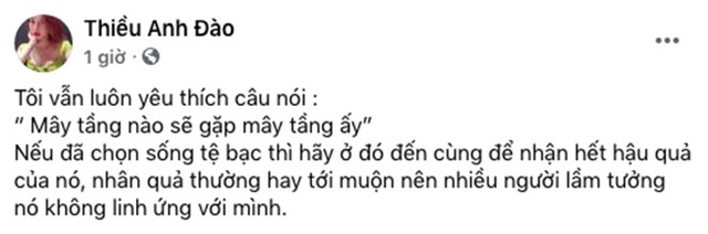  Chị gái ruột Thiều Bảo Trâm: Chọn sống tệ bạc thì hãy ở đó đến cùng để nhận hết hậu quả! - Ảnh 4.