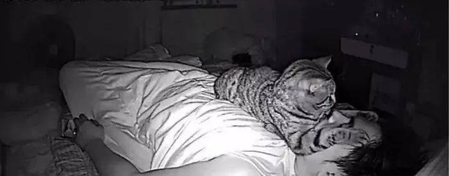 Thức dậy bỗng dưng thấy cả người đau nhức, cô gái vội kiểm tra camera mới ngỡ ngàng nhận ra mình bị mèo cưng trừng phạt cả đêm - Ảnh 4.