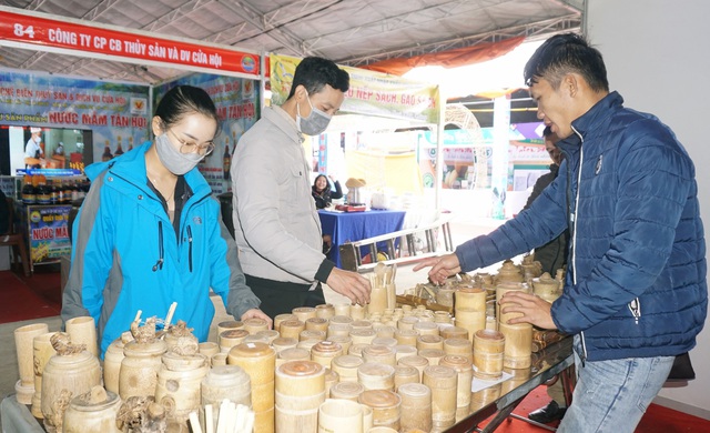 Ông chủ mỹ nghệ “gieo” giấc mơ cho thanh niên tộc người Đan Lai - Ảnh 3.