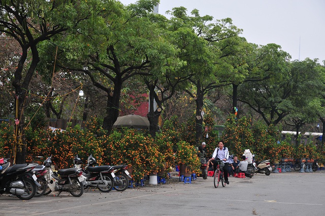 Chợ hoa xuân Mỹ Đình nhộn nhịp khách đi sắm tết - Ảnh 4.