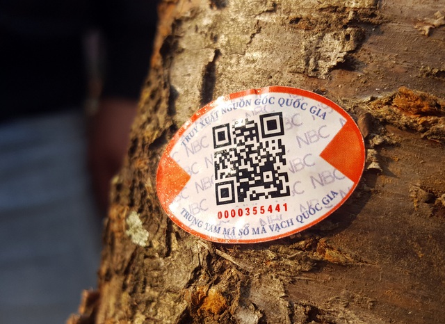 Dùng smartphone quét mã QR code mua đào rừng Sơn La chính hiệu giữa Thủ đô - Ảnh 4.