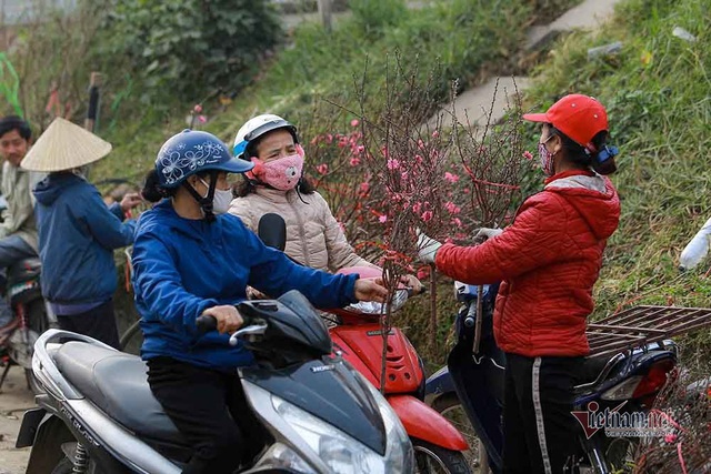 Đào Tết tăng giá hàng ngày, mỗi cành đắt thêm hàng trăm nghìn - Ảnh 3.