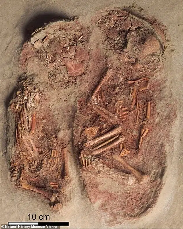 Phát hiện 2 bộ hài cốt em bé nhỏ xíu nhuốm màu đỏ máu, các nhà khoa học sửng sốt khi biết câu chuyện sinh đôi cùng trứng từ 30.000 năm trước - Ảnh 2.