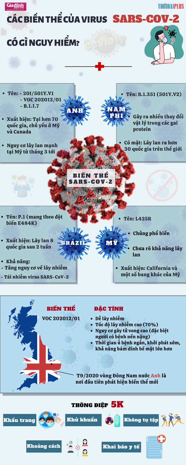 [Infographic] - Các biến thể mới của virus SARS-CoV-2 có gì nguy hiểm - Ảnh 2.