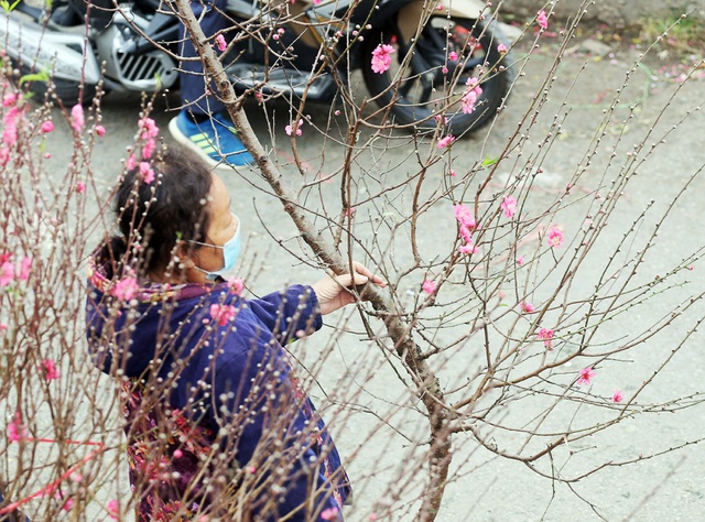 Hà Nội quản lý chặt các chợ hoa Tết tại các tuyến phố trung tâm - Ảnh 3.