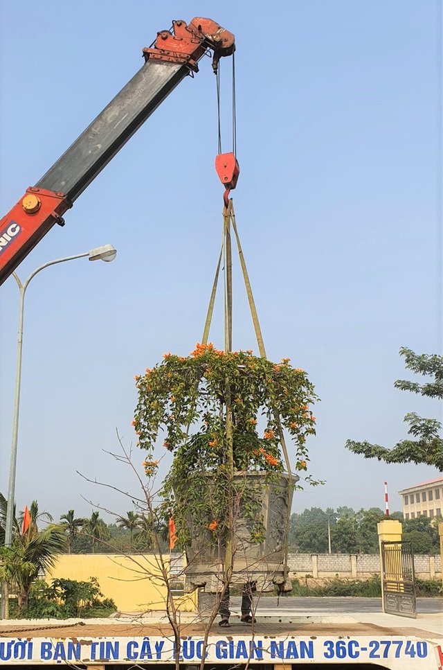 Cây hoa độc, lạ Rạng Đông thân leo bán với giá 50 triệu đồng - Ảnh 2.