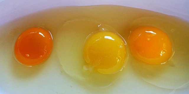 Muốn thấy sự khác biệt về dinh dưỡng hãy nhìn vào lòng đỏ trứng, màu càng đậm càng chứng tỏ điều này - Ảnh 1.