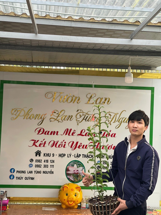 Vườn hoa phong lan nổi tiếng tại Vĩnh Phúc của chàng trai 9X – Nguyễn Văn Tùng - Ảnh 2.