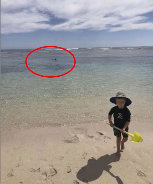Để con chơi trên bờ rồi xuống lặn biển, ông bố chết bí ẩn trước khi bị cá mập ăn thịt, tấm ảnh cuối cùng cậu bé được chụp với bố gây ám ảnh khôn nguôi - Ảnh 2.