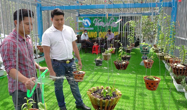 Cho&aacute;ng ngợp trước vườn lan đột biến 80 tỷ ở Cần Thơ - Ảnh 6.