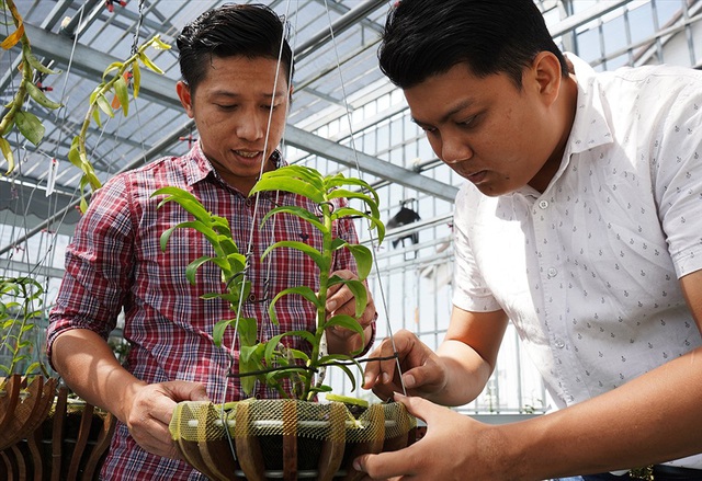 Cho&aacute;ng ngợp trước vườn lan đột biến 80 tỷ ở Cần Thơ - Ảnh 7.
